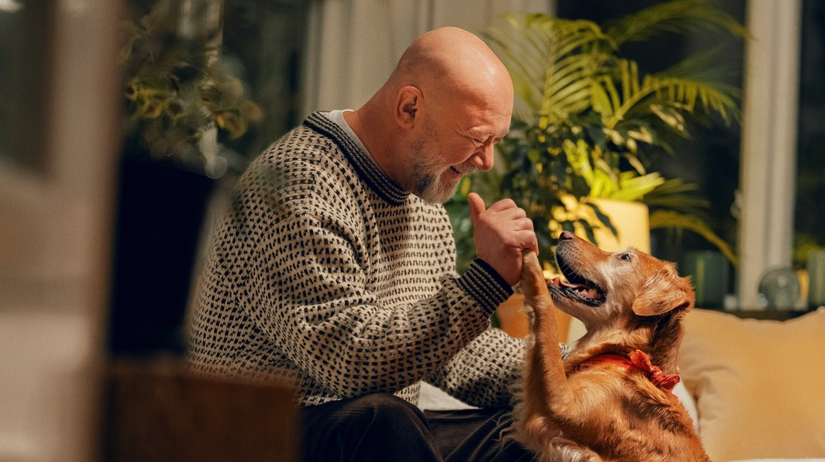 Äldre man leker med sin hund. Han är glad för sin Frisktandvård för han tycker det känns som att ha en tandvårdsförsäkring. 