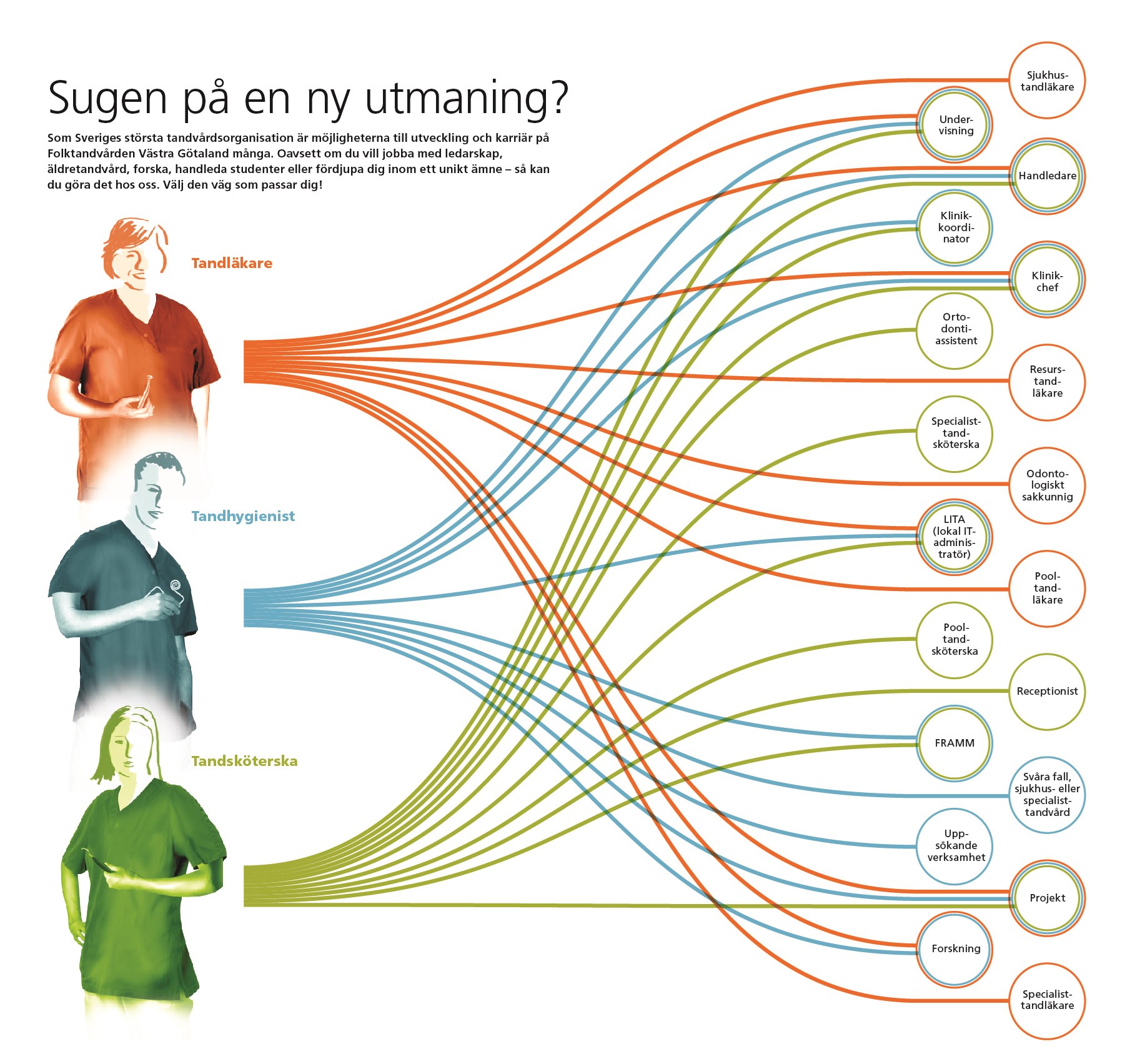 En infografic om de olika karriärvägar inom Folktandvården Västra Götaland. Tre personer på bilden som repsrenterar tandläkare, tandhygienist och tandsköterska och deras olika karriärvägar.