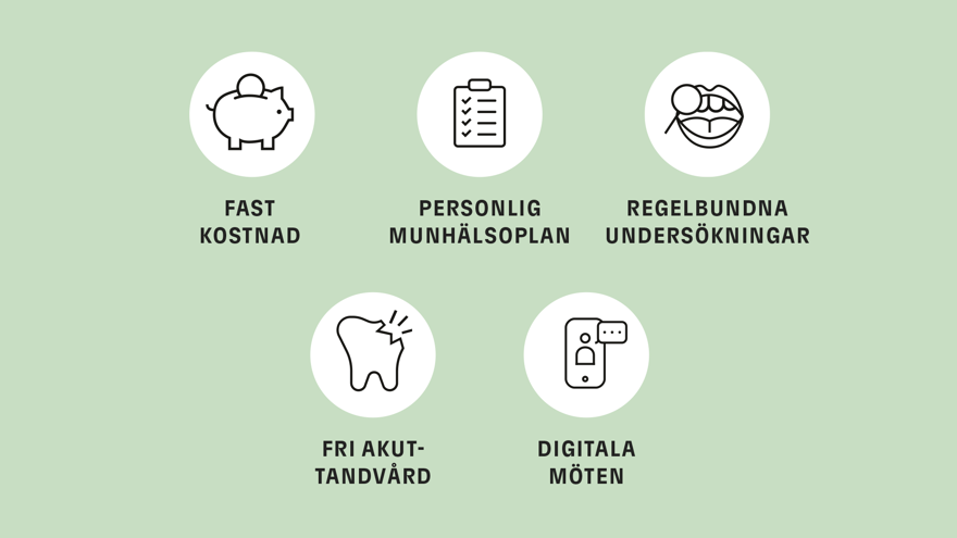 En illustration som i text listar de viktigaste fördelarna med Frisktandvård: fast pris, personlig munhälsoplan, regelbundna undersökningar, fri akuttandvård och digitala möten.