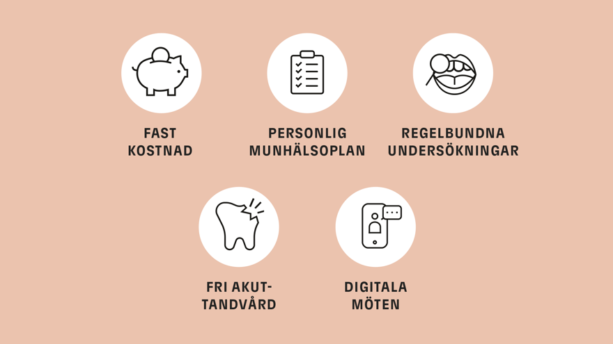 En illustration som i text listar de viktigaste fördelarna med Frisktandvård: fast pris, personlig munhälsoplan, regelbundna undersökningar, fri akuttandvård och digitala möten. 